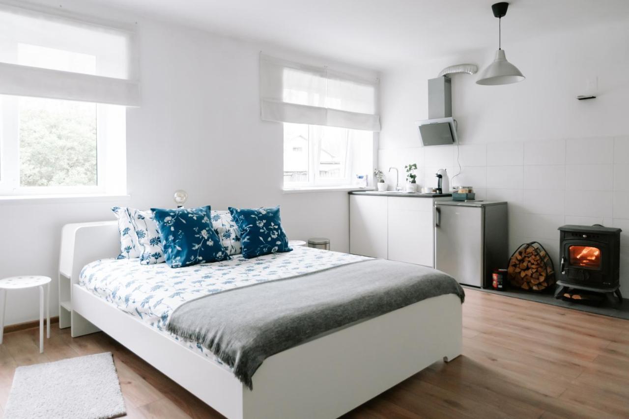 Lake Aluksne Studio Apartment Exterior foto